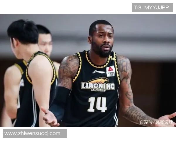 探索弗格的魅力与影响力：从历史到现代的深度剖析与思考