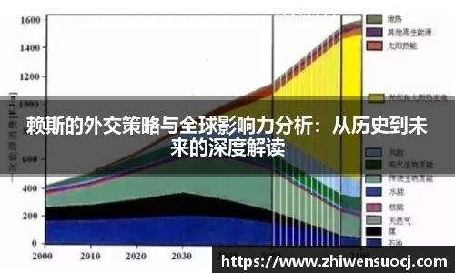 赖斯的外交策略与全球影响力分析：从历史到未来的深度解读
